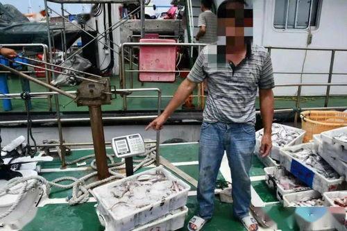 天津视频爆料者被抓事件,真相与争议交织  第3张