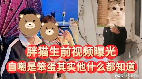 笨蛋最新爆料视频大全,视频大全背后的惊人真相  第2张