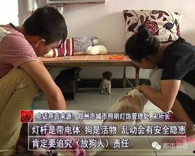 沭阳刘大姐爆料视频最新,揭秘背后惊人真相 第1张 沭阳刘大姐爆料视频最新,揭秘背后惊人真相 第1张