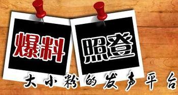 当地新闻怎样爆料的,重大事件背后惊人内幕曝光  第1张