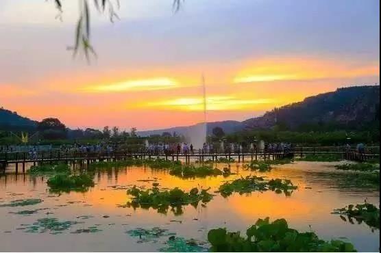 庆阳爆料风景视频大全,揭秘庆阳爆料风景视频大全 第3张 庆阳爆料风景视频大全,揭秘庆阳爆料风景视频大全 第3张